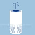 The Science Behind Air Purifiers: Understanding the Timeline for Noticeable Results