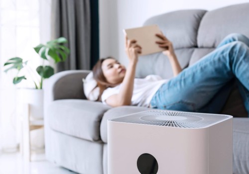 The Pros and Cons of Air Purifiers: An Expert's Perspective